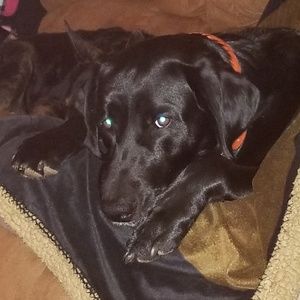 Meet your Posher, Alicia